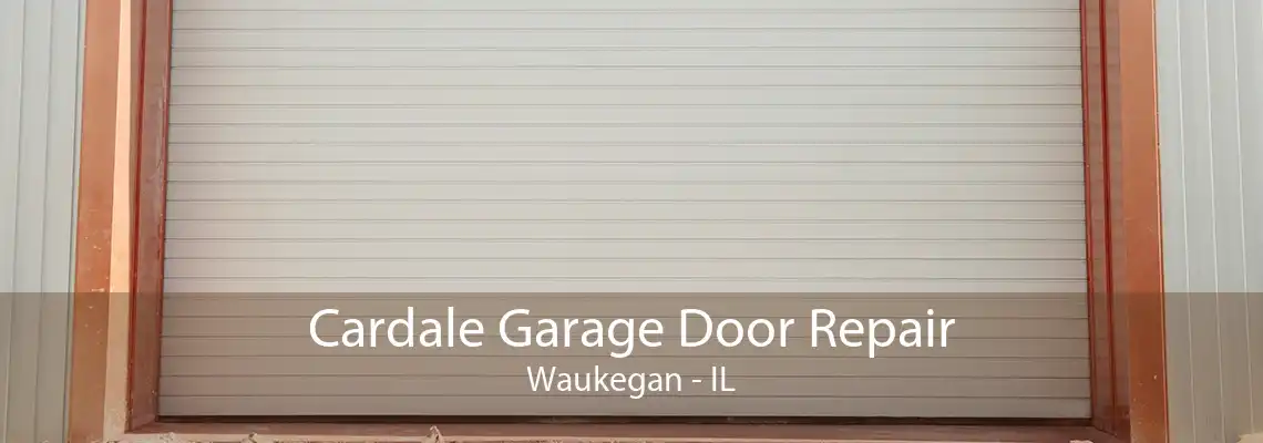 Cardale Garage Door Repair Waukegan - IL