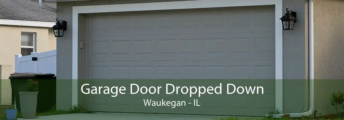 Garage Door Dropped Down Waukegan - IL