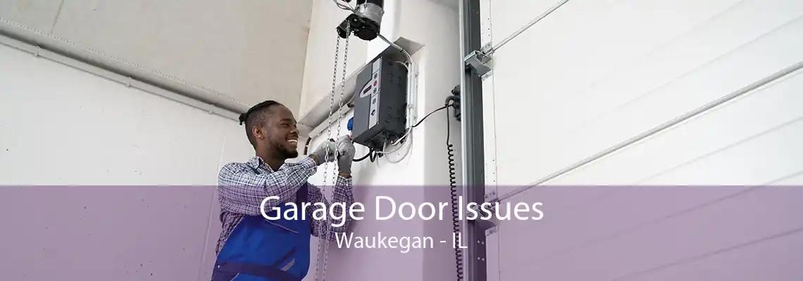 Garage Door Issues Waukegan - IL