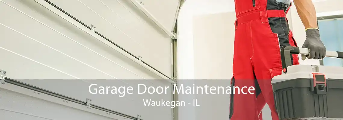 Garage Door Maintenance Waukegan - IL