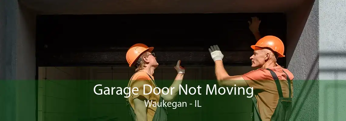 Garage Door Not Moving Waukegan - IL