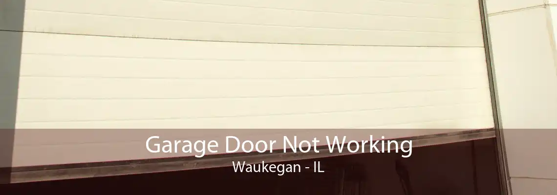 Garage Door Not Working Waukegan - IL