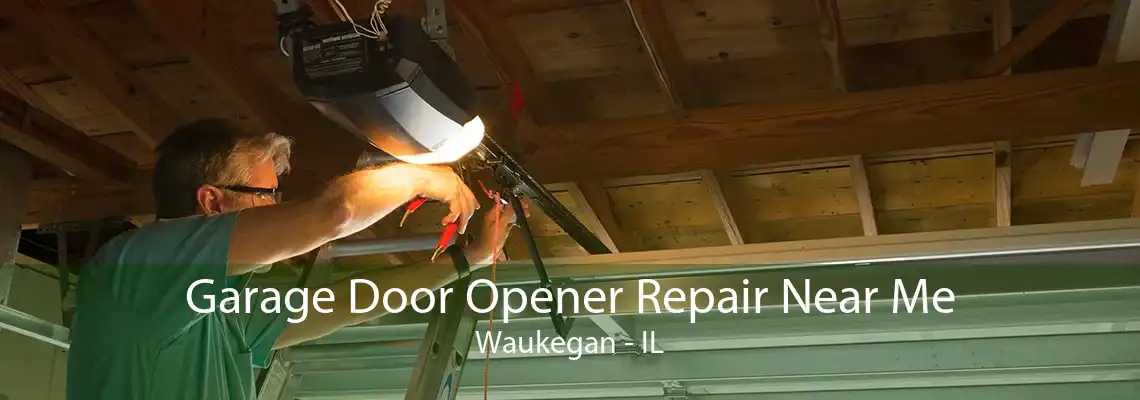 Garage Door Opener Repair Near Me Waukegan - IL