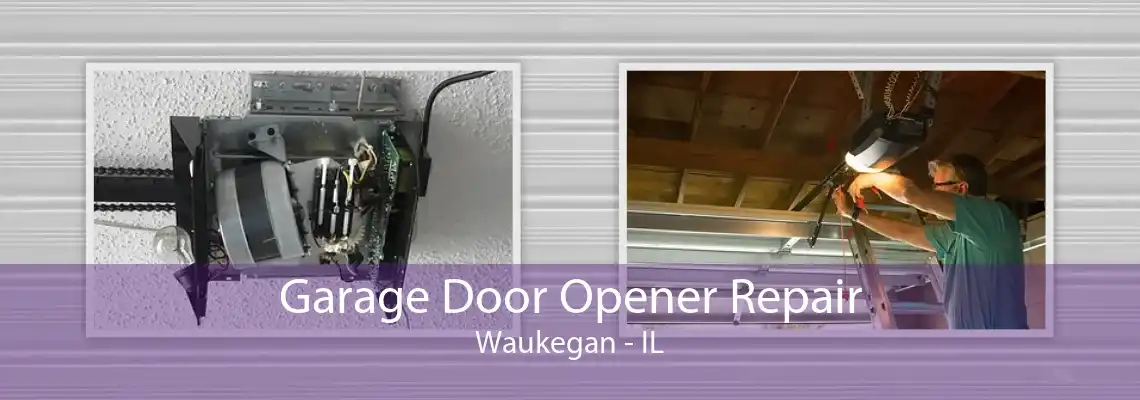 Garage Door Opener Repair Waukegan - IL