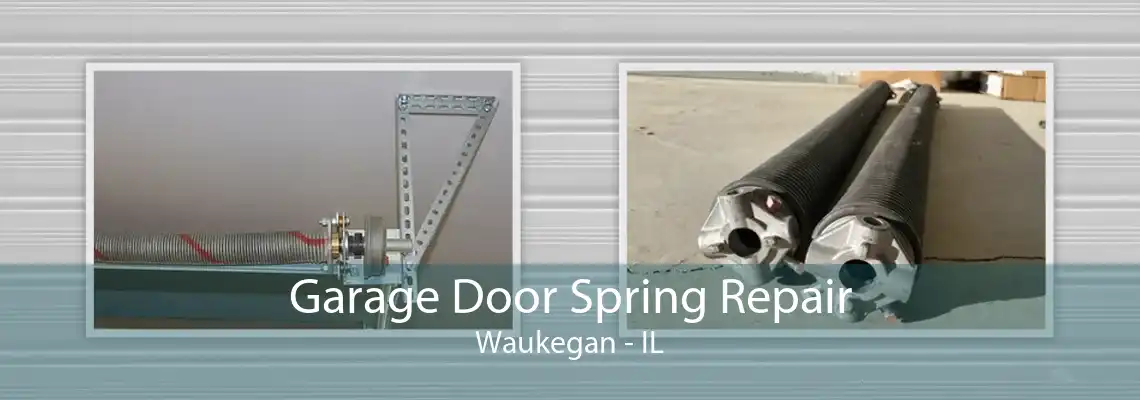 Garage Door Spring Repair Waukegan - IL