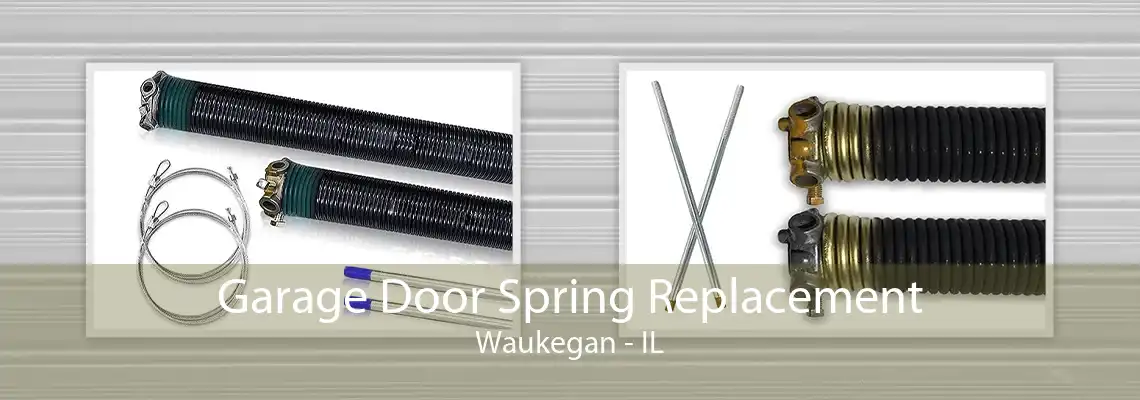 Garage Door Spring Replacement Waukegan - IL