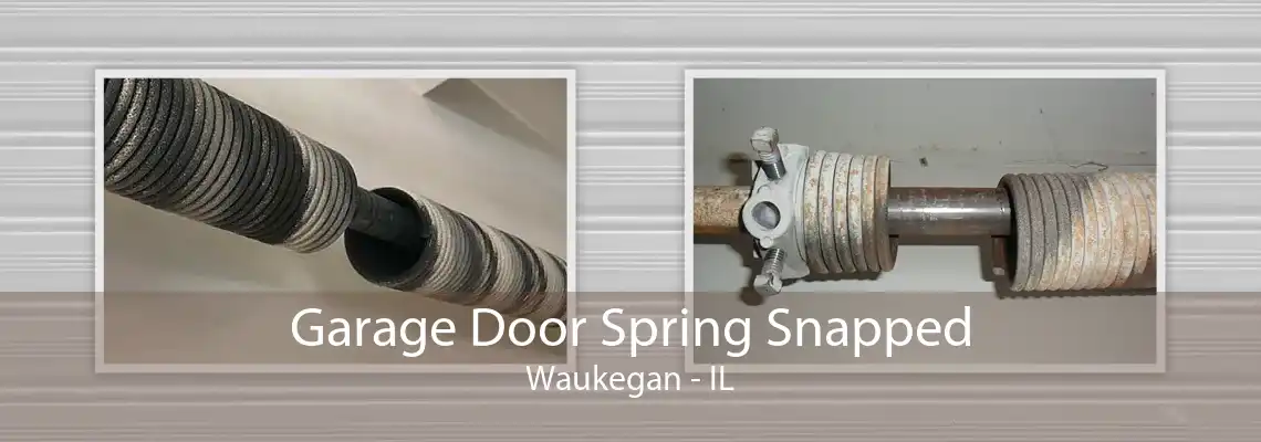 Garage Door Spring Snapped Waukegan - IL