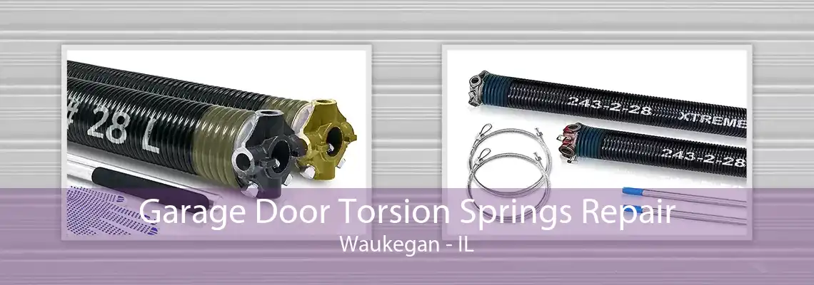 Garage Door Torsion Springs Repair Waukegan - IL