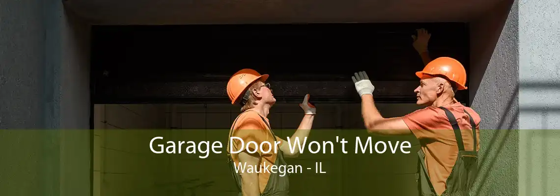 Garage Door Won't Move Waukegan - IL