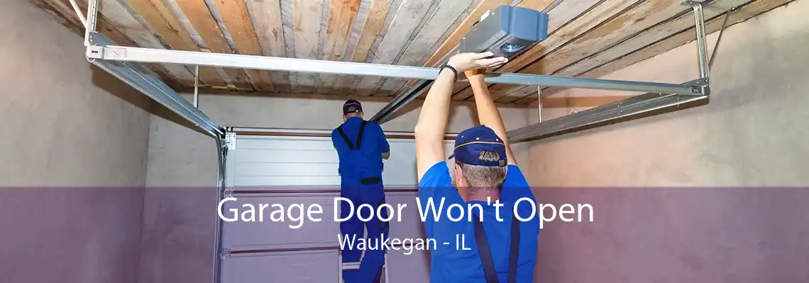 Garage Door Won't Open Waukegan - IL