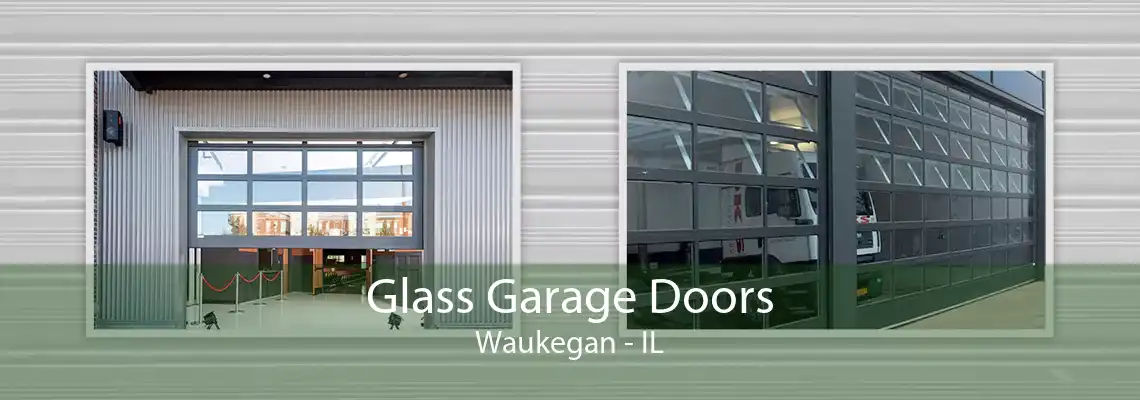 Glass Garage Doors Waukegan - IL