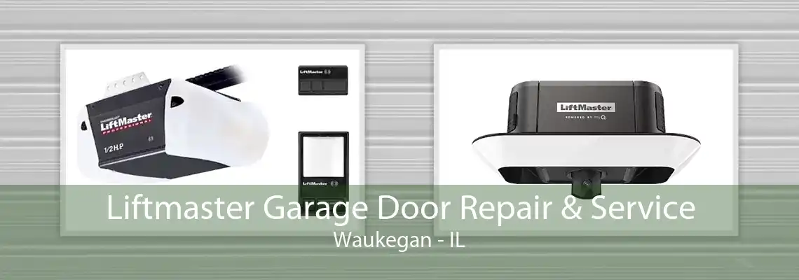 Liftmaster Garage Door Repair & Service Waukegan - IL