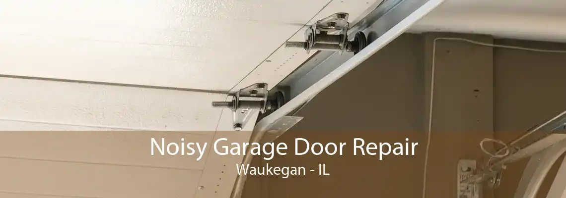 Noisy Garage Door Repair Waukegan - IL