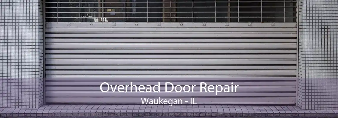 Overhead Door Repair Waukegan - IL